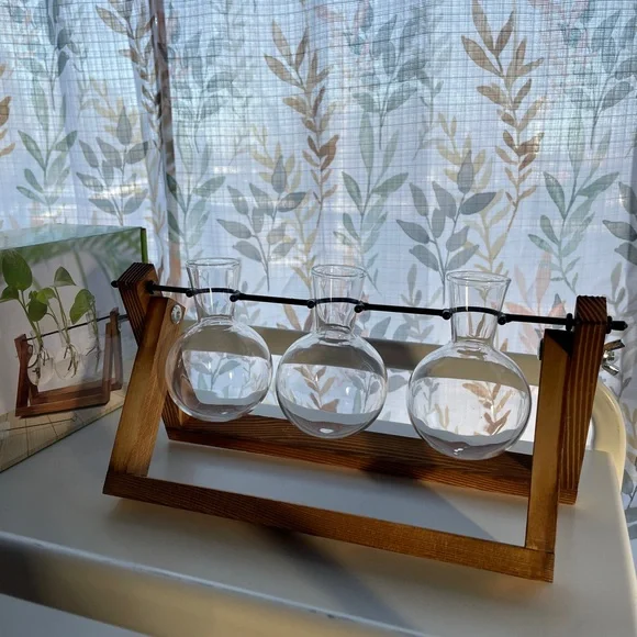 Wooden Plant Terrarium with Glass Vases - Picture 2 of 5